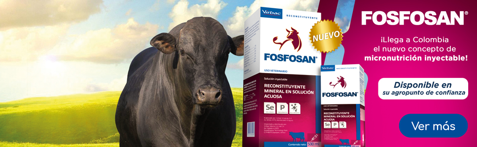 Fosfosan